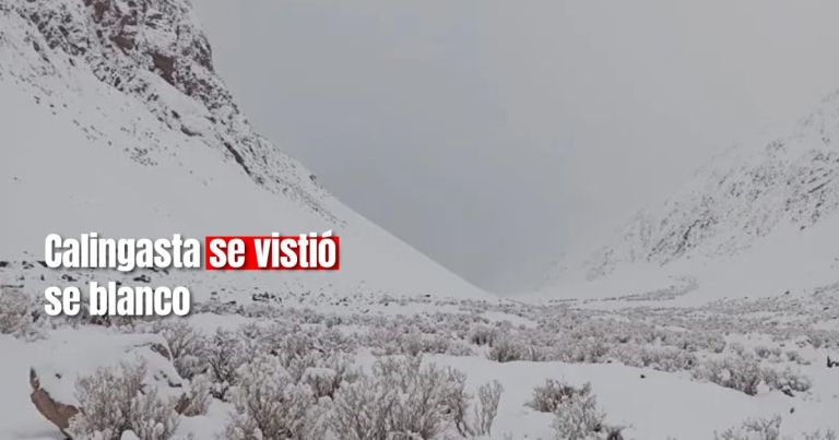 Redes Sociales Deslumbradas Por Las Hermosas Postales De La Nevada En