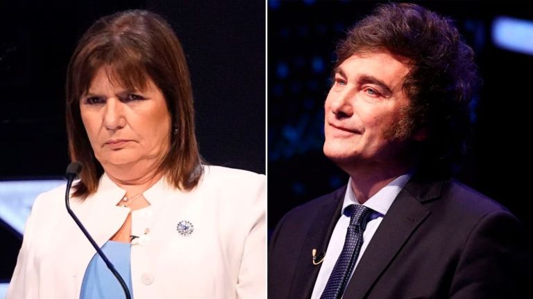 Javier Milei Ahora Quiere Sumar A Patricia Bullrich A Su Gabinete Si