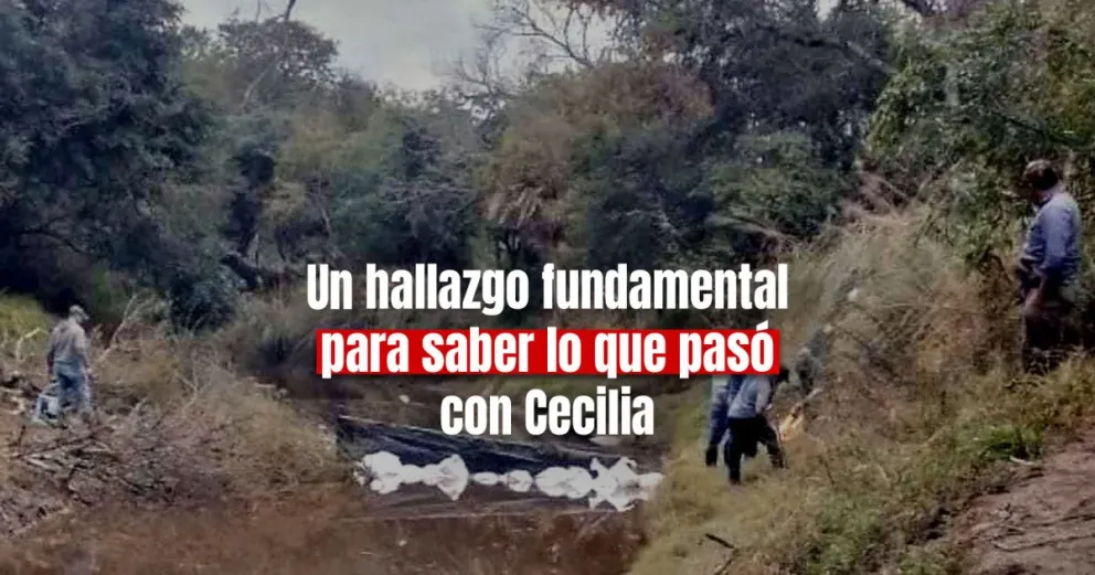 Caso Cecilia Strzyzowski: confirmaron que restos óseos hallados son de una persona adulta 