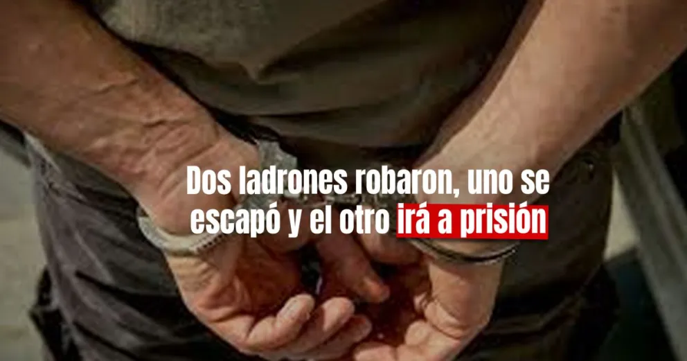 La justicia condenó a prisión efectiva a un ladrón por robar en un local 