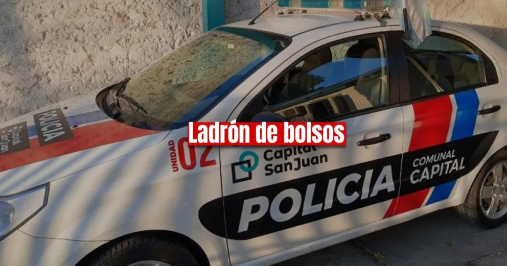Un menor robó un bolso y quedó detenido 