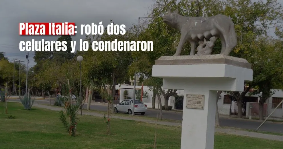 Fue a robar celulares acompañado de cuatro menores y ahora lo condenaron
