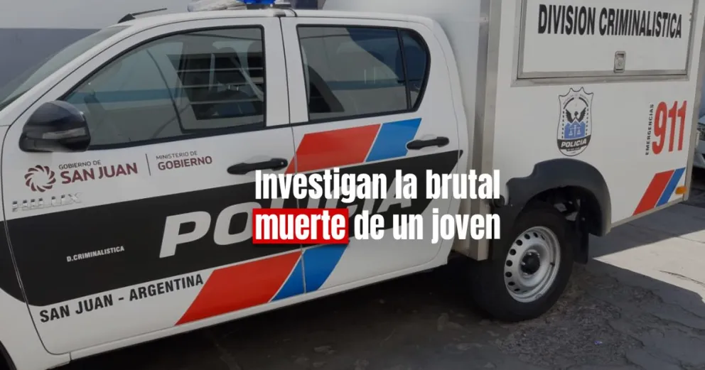 Un joven se arrojó contra un auto y perdió la vida 