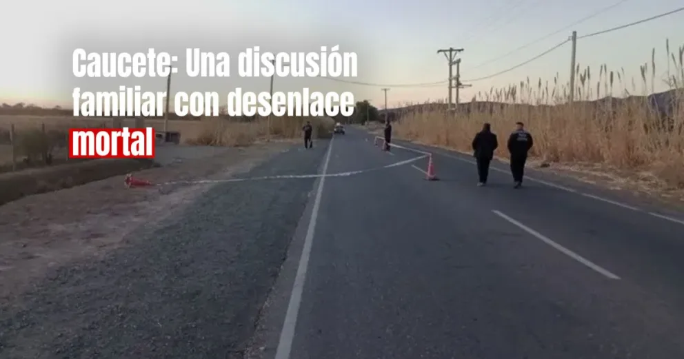 Estaba ebrio, discutió con su familia y se arrojó frente a un auto