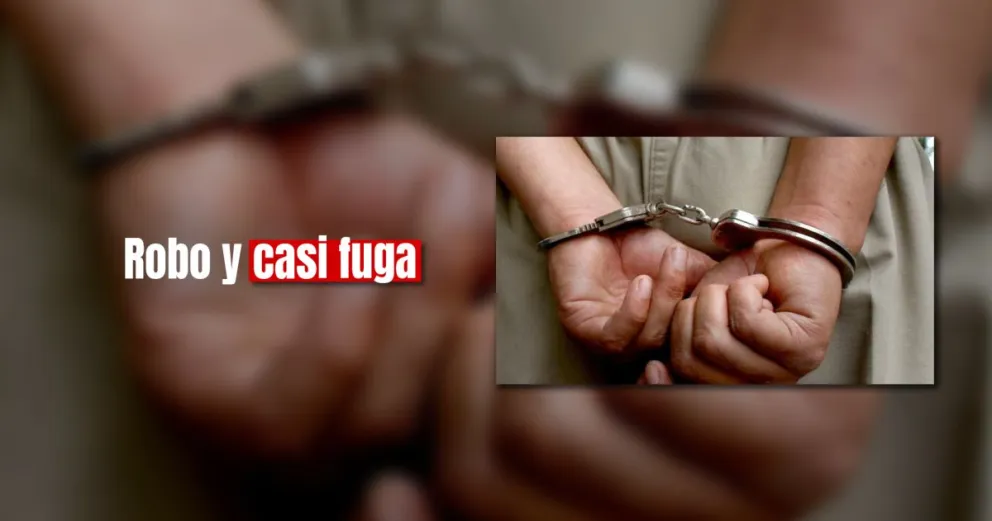 Un joven fue detenido por robar un estéreo e intentar fugarse