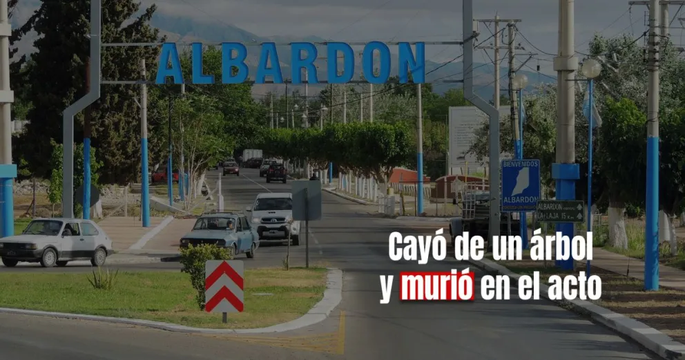 Un hombre de 73 años se cayó mientras podaba un árbol y perdió la vida
