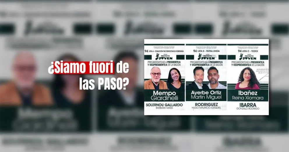 Nueve precandidatos a presidente pueden quedar a fuera de las PASO por un insólito error