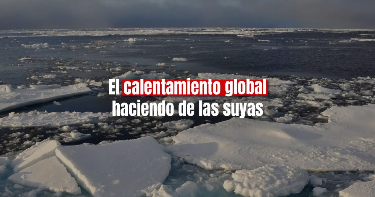 Un bloque de hielo del tamaño de Argentina desapareció de la Antártida 