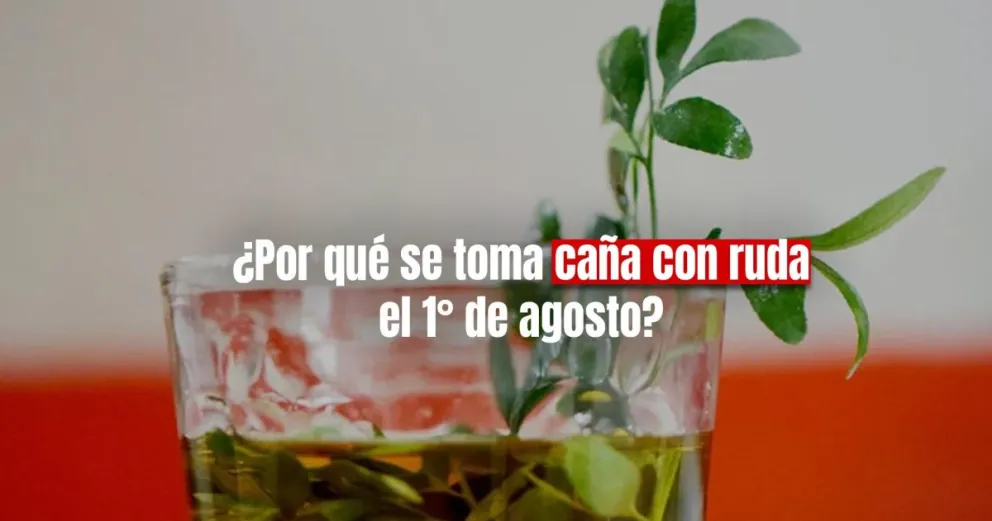 Se toma caña con ruda para la buena salud y la buena fortuna 