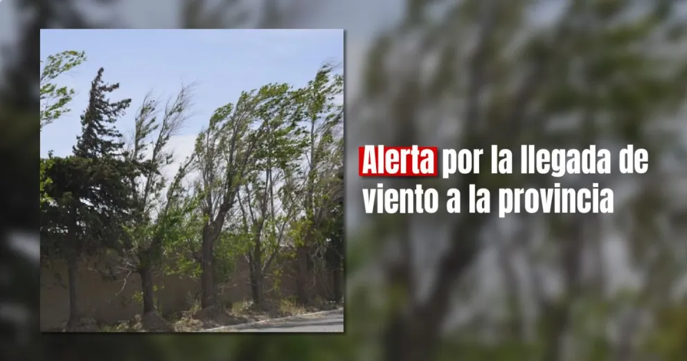 Emitieron alerta meteorológica en la provincia por la llegada de viento sur