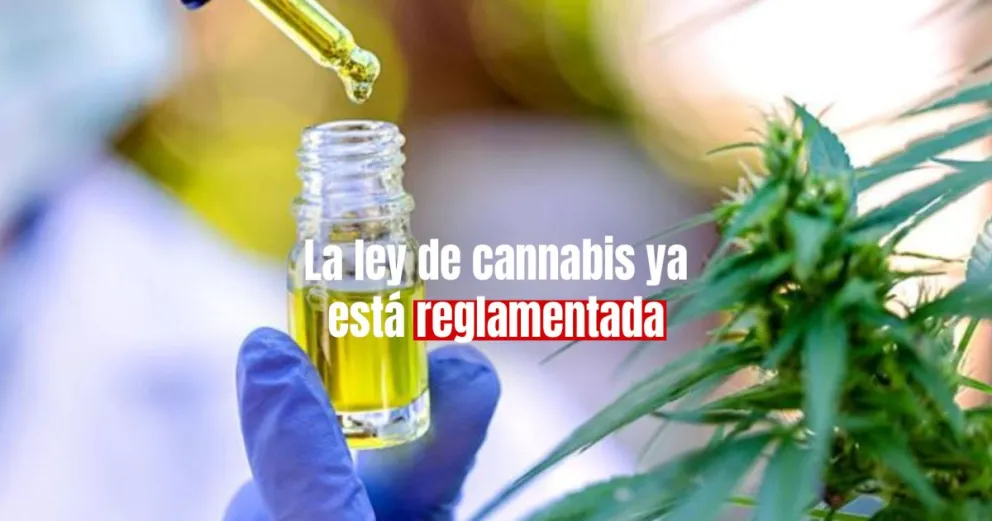 El Gobierno reglamentó la ley de cannabis 