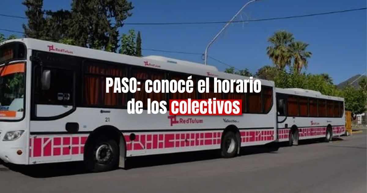 Elecciones: colectivos gratis en San Juan