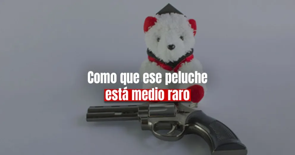 Lo condenaron por tener armas: las escondía dentro de un  peluche
