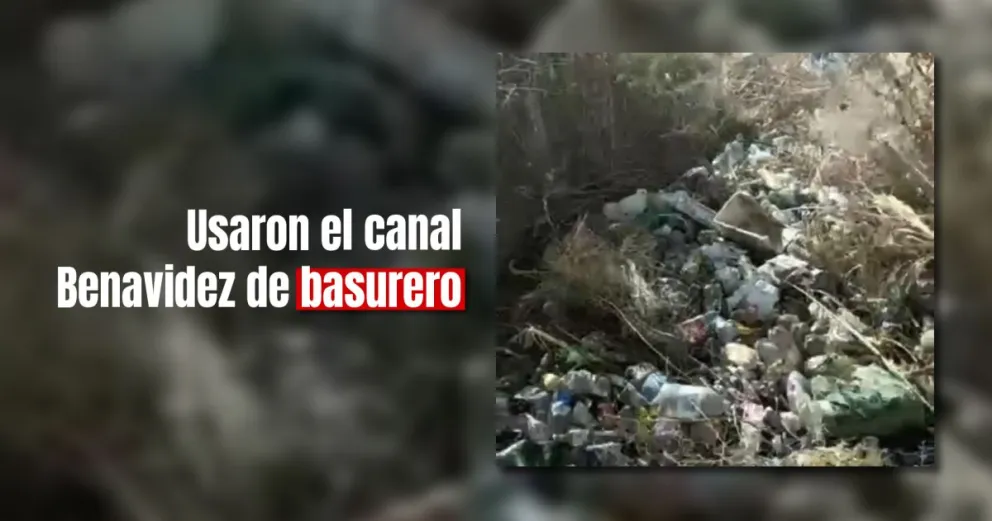 A pocos días  de que lo limpiaron, el canal Benavidez volvió a colapsar de basura 