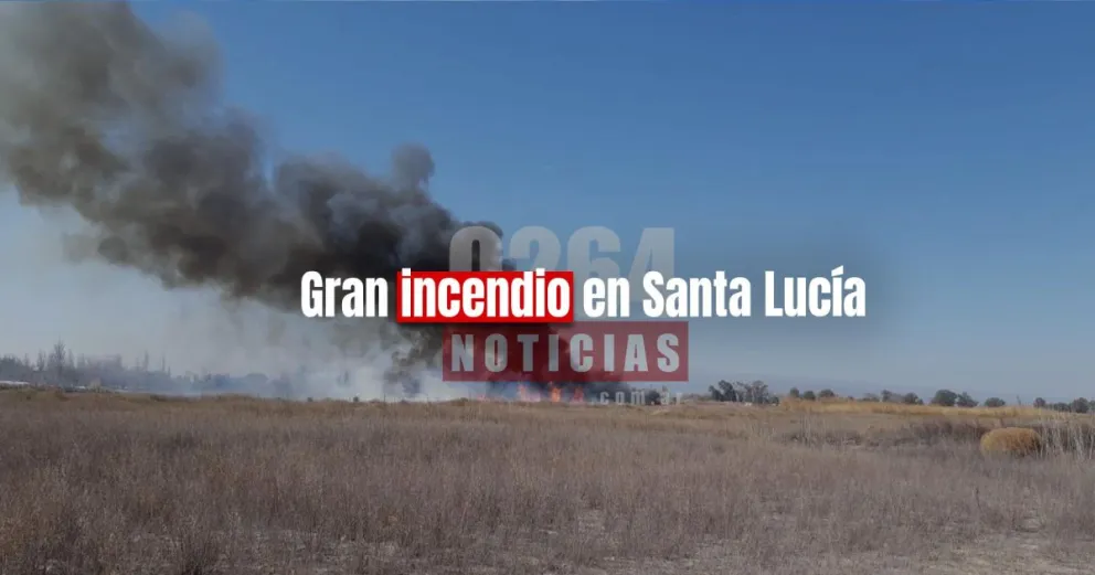 Bomberos sofocaron un enorme incendio de pasturas y lograron identificar quién lo hizo 
