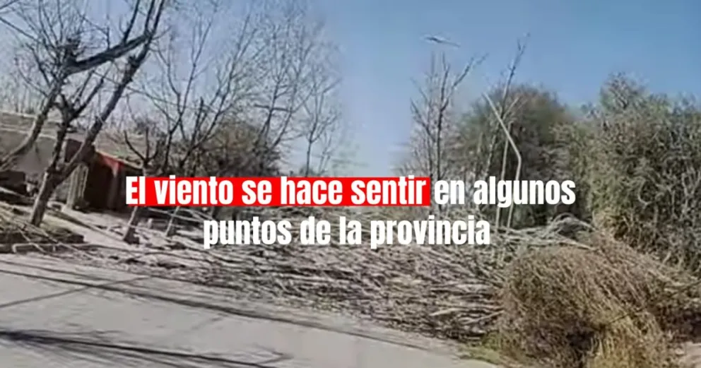 Viento Zonda: hubo caídas de árboles y cortes de luz en algunos departamentos
