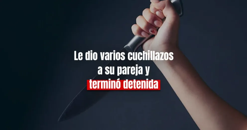 Una mujer detenida por atacar a su pareja con un cuchillo de carnicero