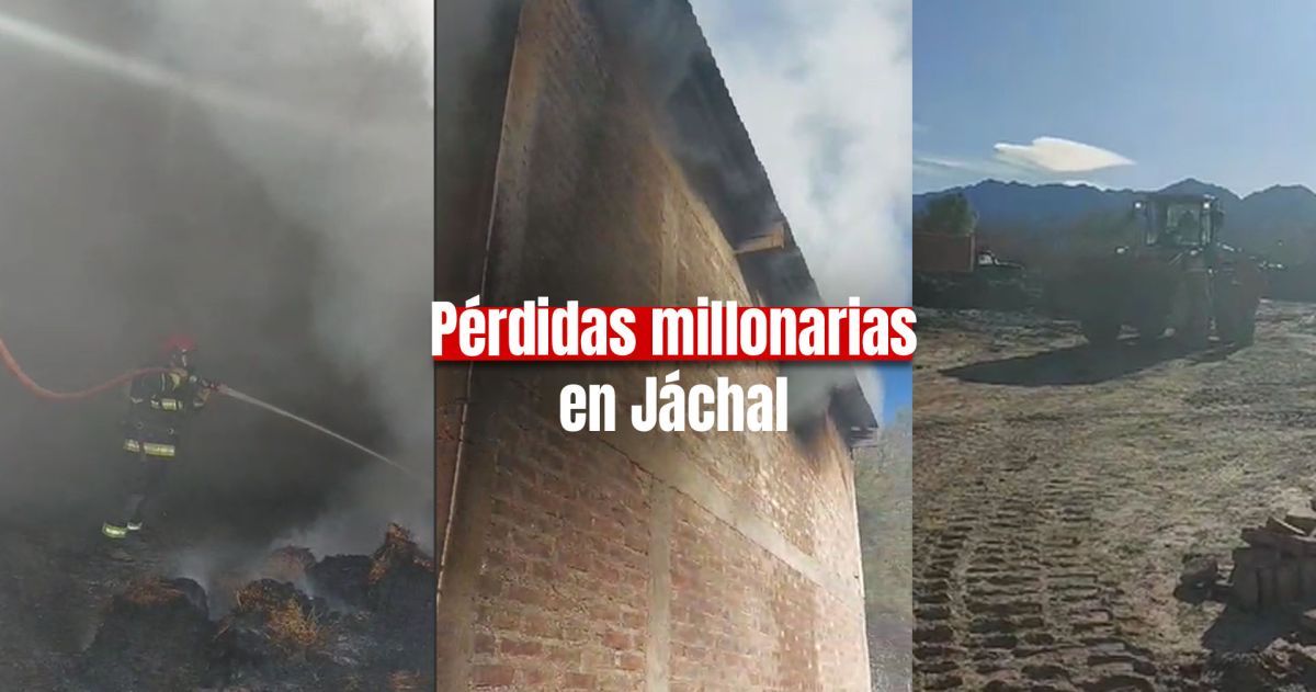 Devastador incendio en Jáchal: animales, plantaciones, pasto y hasta un galpón