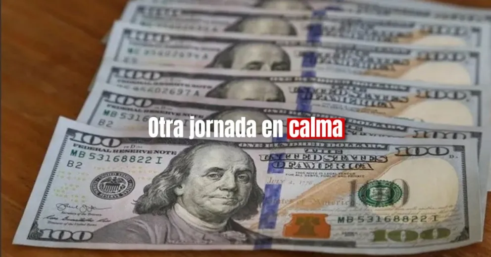 El dólar blue cerró a $755 en otra jornada en calma en San Juan 