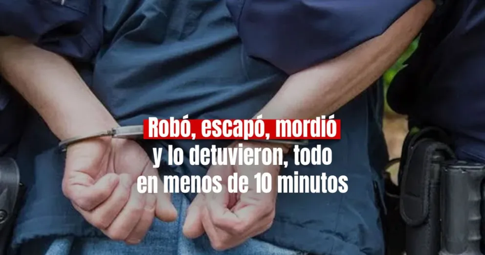 Se robó dos potes de helado, mordió a una persona y lo detuvieron en plena Plaza 25
