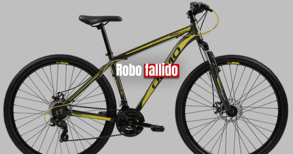 Un ladrón quedó detenido por robar una bicicleta 