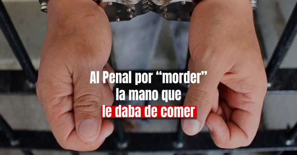 Pasará medio año preso por robar en la casa donde pedía comida y ropa