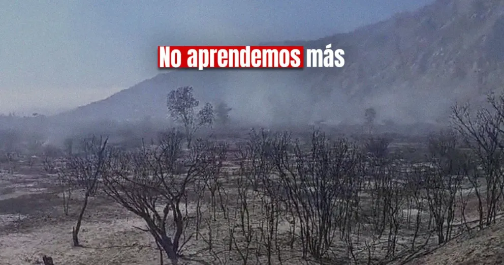 Imagen: gentileza