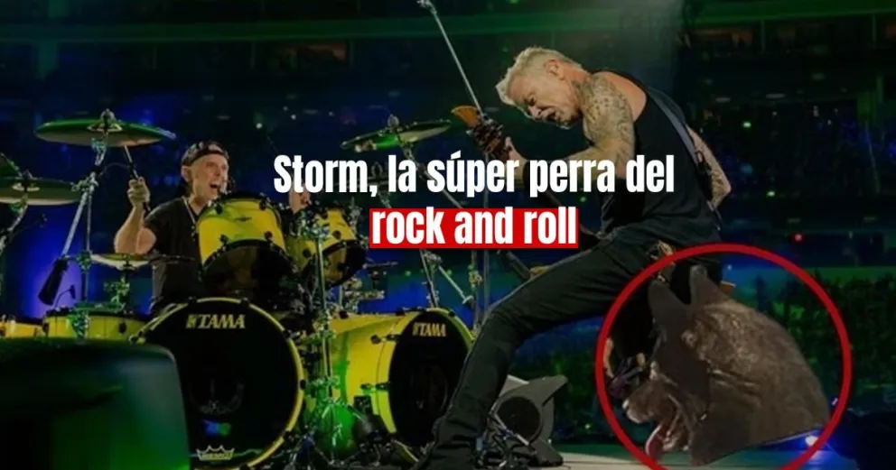 Una perrita se escapó de su casa para ir al concierto de Metallica 