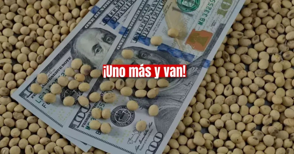 El Gobierno lanzó un nuevo dólar soja: cuáles son los cambios con respecto a las ediciones anteriores