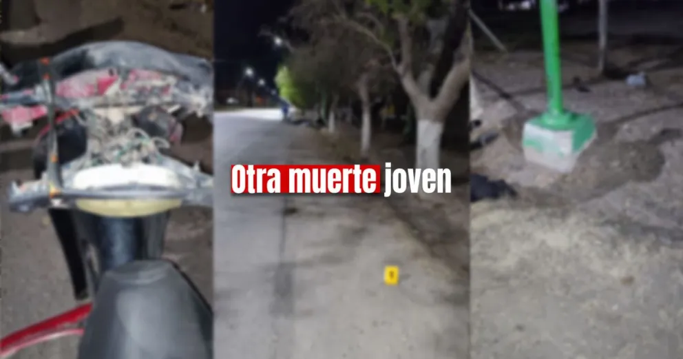 Un joven motociclista impactó contra un árbol y murió