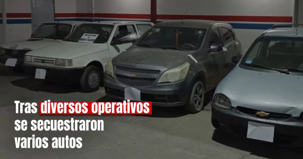 Secuestran en San Juan cuatro autos que tenían pedidos de captura 