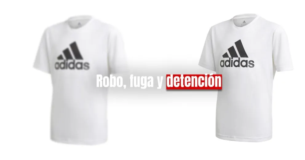 Detuvieron a un ladrón que robó en un local del centro sanjuanino 