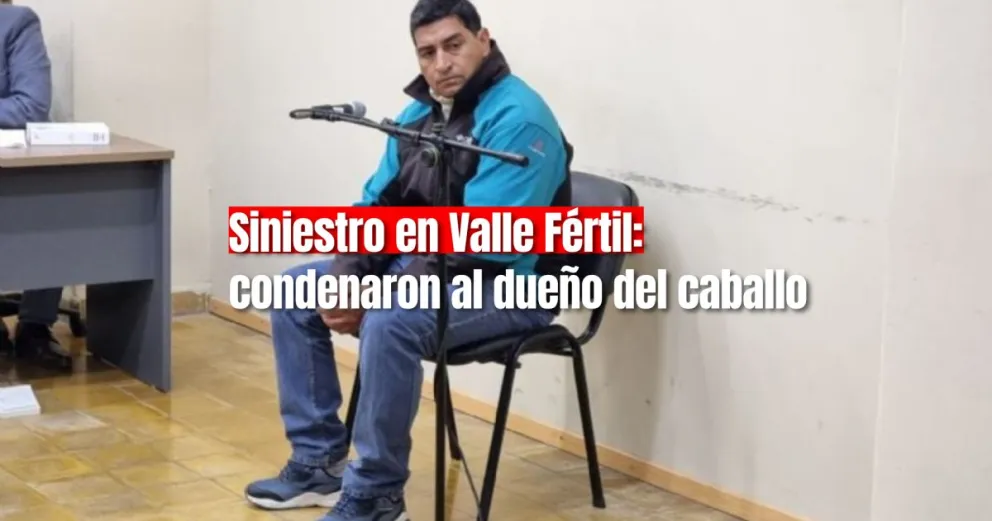 Un motociclista chocó contra un caballo y tras 12 días internado falleció: condenaron a 2 años de prisión al dueño del animal