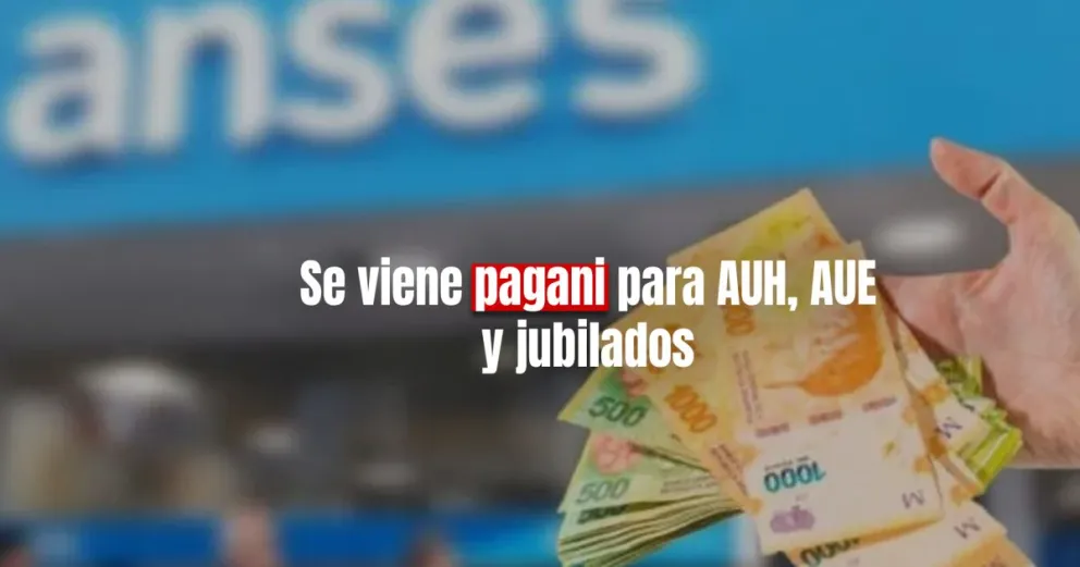ANSES dio a conocer el calendario de pago para asignaciones y jubilaciones 