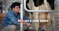 Suspensión de retenciones a la lechería por 90 días y medidas adicionales para el sector lácteo son las nuevas intervenciones de Massa