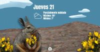 Arranca la primavera ¿pero con Zonda?