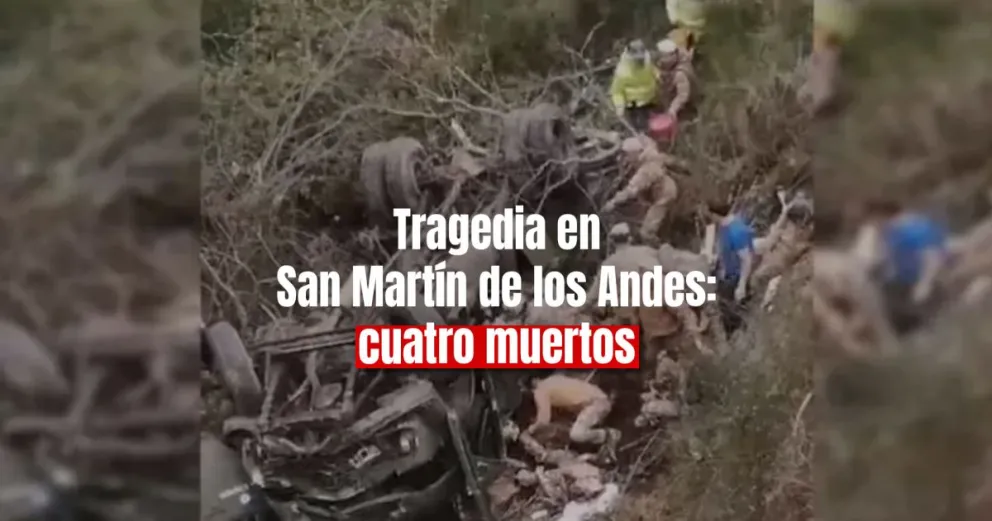 Tragedia en Neuquén: un camión del Ejército cayó a un barranco y murieron 4 personas