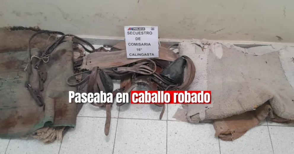 Un individuo robó un caballo y su montura en Calingasta