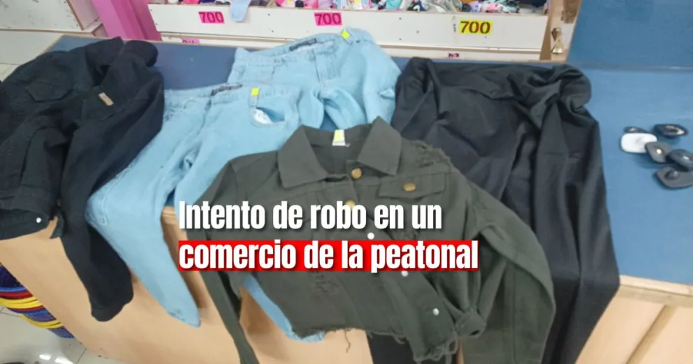 Arrestaron a una mujer en la peatonal tras tentativa de robo