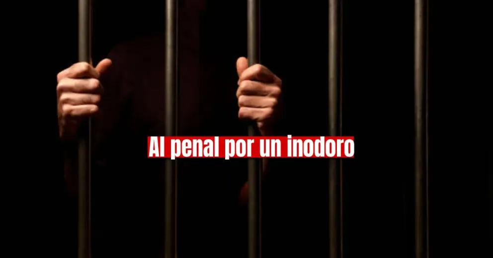 Robó un inodoro y ahora irá a prisión