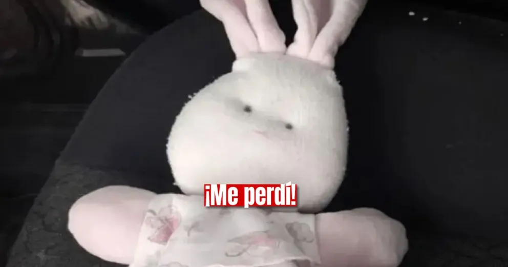 Una sanjuanina busca a la dueña de un peluche perdido para devolverle la felicidad