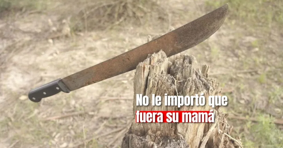 Un joven amenazó a su madre con un cuchillo luego de una discusión 