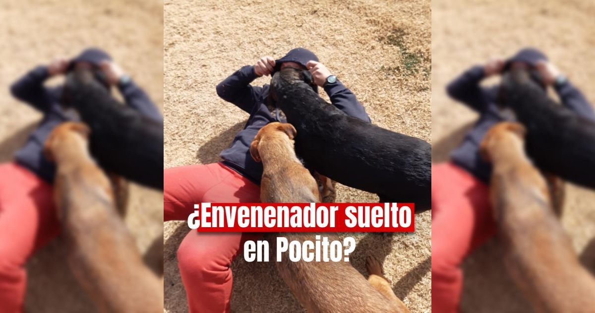 Un reconocido twittero sanjuanino denuncia el envenenamiento de sus mascotas