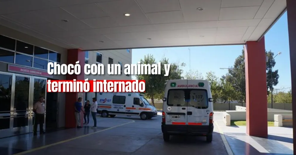 Un motociclista quedó internado tras colisionar con un animal en Albardón