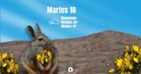 Vuelven las nubes este martes