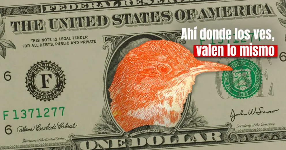El dólar blue llegó a $1.000 pesos en San Juan