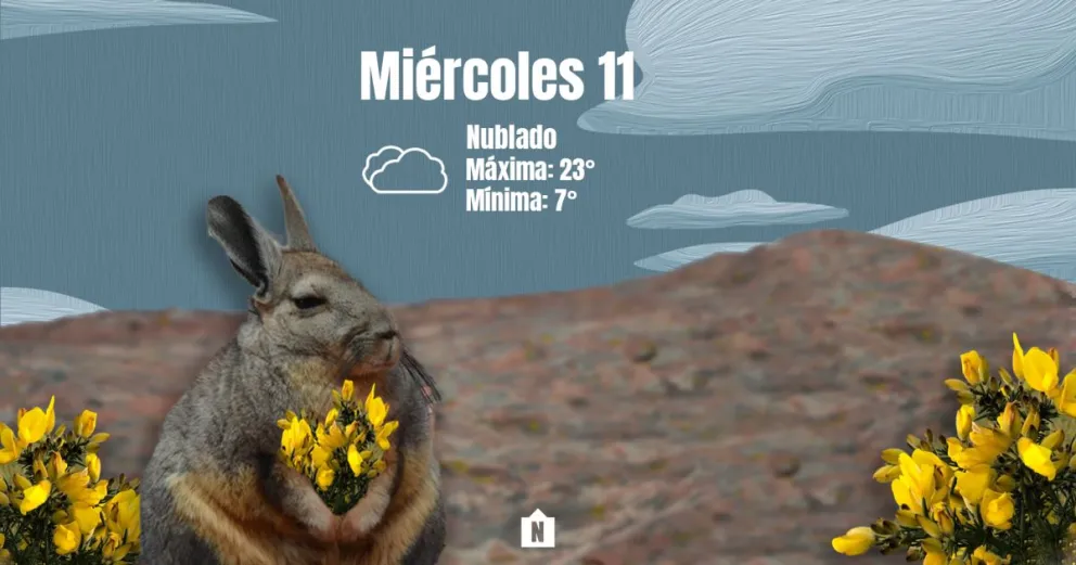 Miércoles con viento y ráfagas del sector sur 
