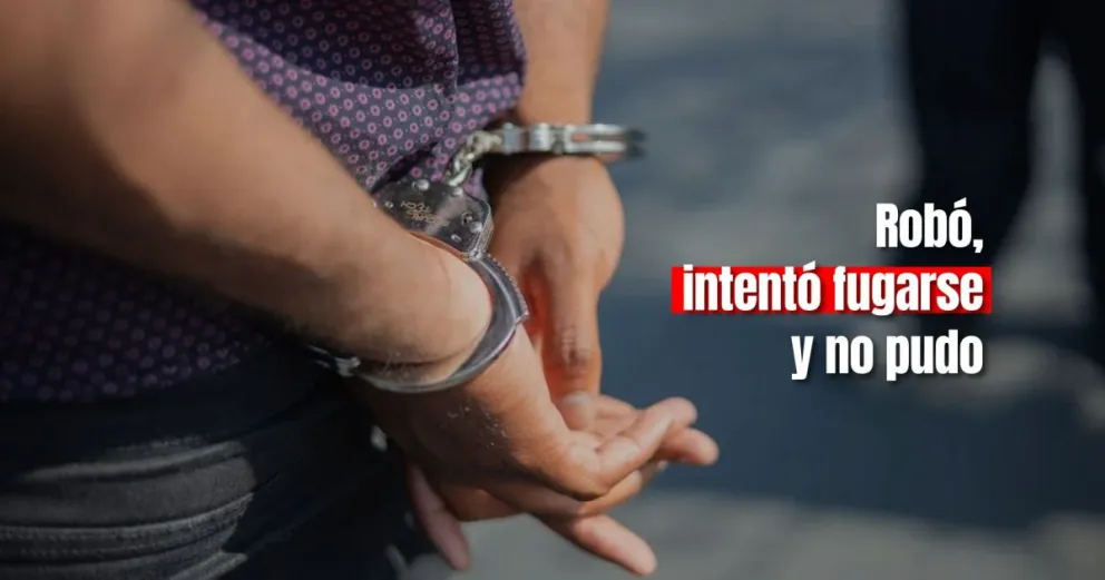 Un ladrón irá a prisión por robar un celular en Chimbas 