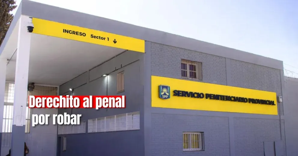 Intentó robarle a una mujer en la parada de colectivo