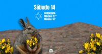 Sábado caluroso y primaveral 
